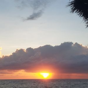 Meet your Posher, Miloud